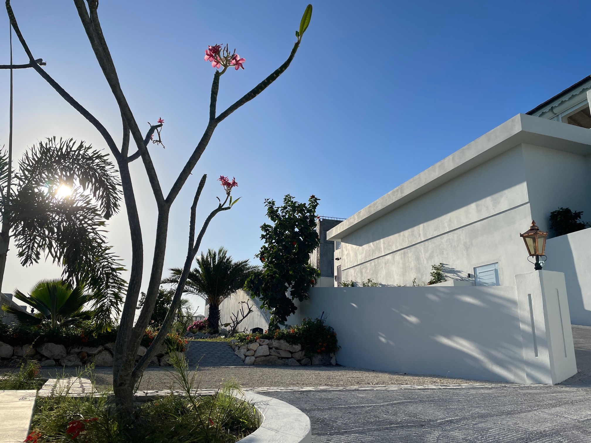 Lower Garden
